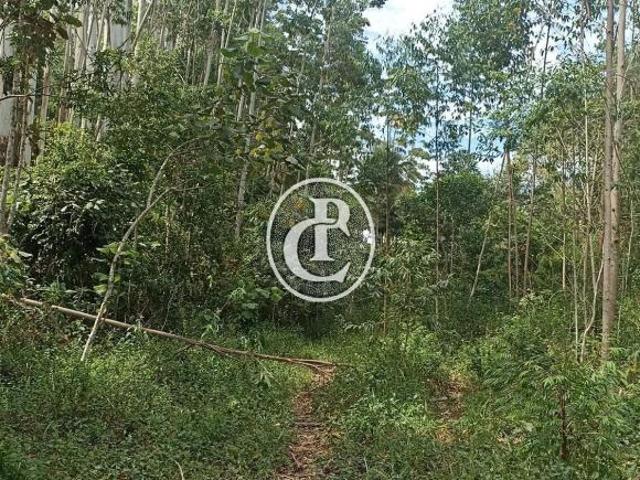 Sítio e chácara venda em Região Imediata de Campinas, Região Metropolitana de Campinas
