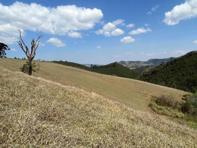 Sítio e chácara venda em Região Imediata de Bragança Paulista, Joanópolis