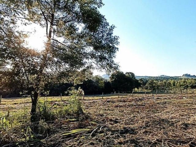 Sítio e chácara venda em Região Geográfica Imediata de Novo Hamburgo - São Leopoldo, Região Metropolitana de Porto Alegre