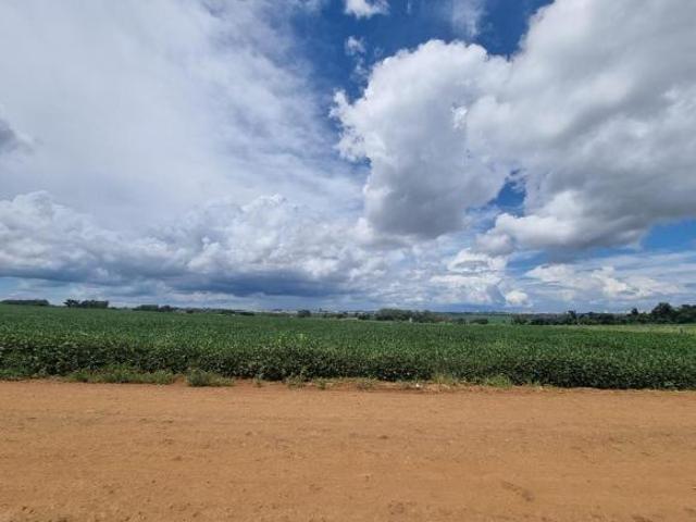 Sítio e chácara venda em Região Geográfica Imediata de Londrina, Cambé
