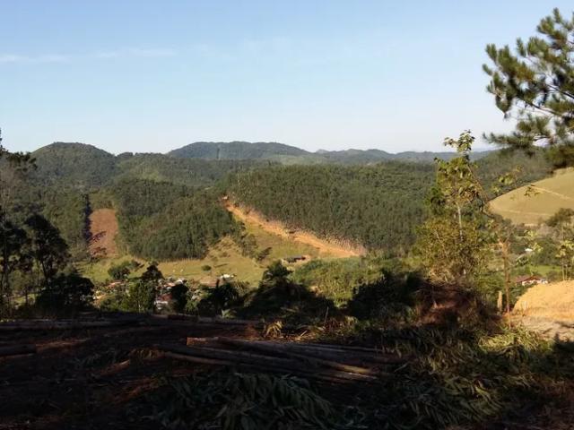 Fazenda venda em Região Geográfica Imediata de Brusque, Canelinha