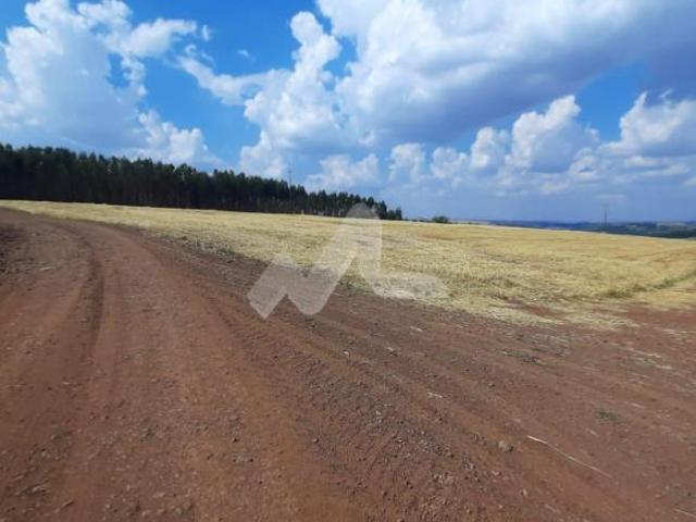 Sítio e chácara venda em Região Geográfica Imediata de Toledo, São Pedro do Iguaçu