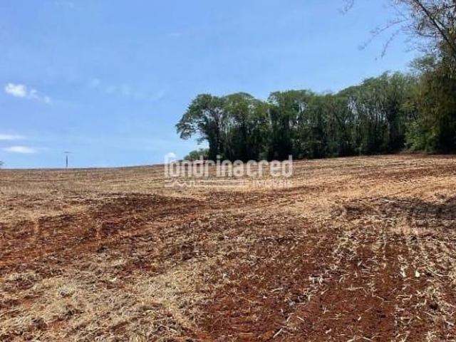 Sitio venda em Uraí, Centro