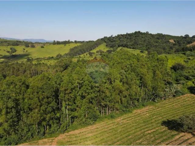 Fazenda venda em Região Imediata de São José do Rio Pardo-Mococa, Caconde