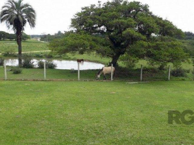 Sítio e chácara venda em Região Geográfica Imediata de Porto Alegre, Região Metropolitana de Porto Alegre
