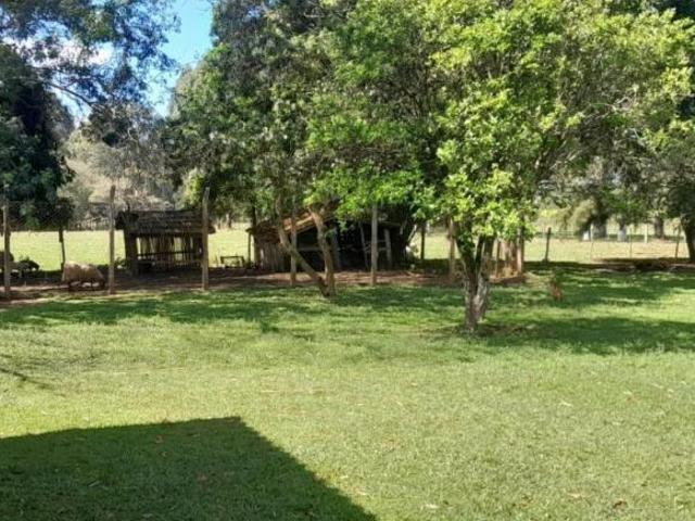 Sítio e chácara venda em Campina do Monte Alegre