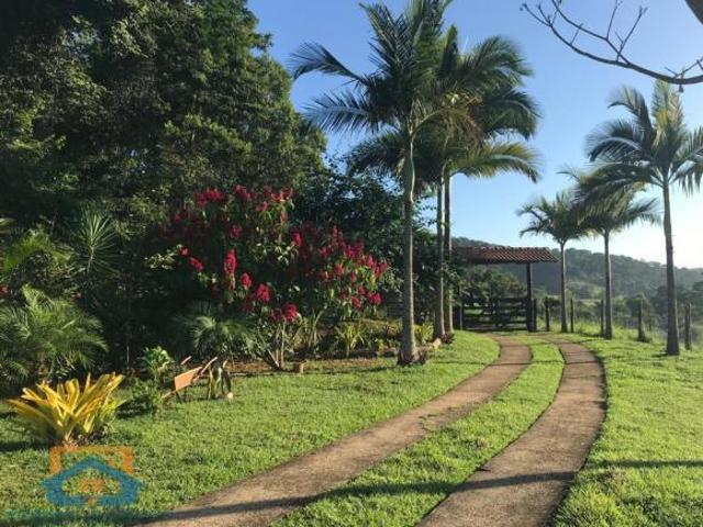 Sítio e chácara venda em Região Geográfica Imediata de Ipatinga, Belo Oriente