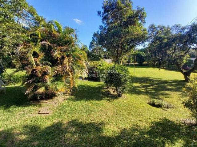 Sítio e chácara venda em Sítio Campo Grande, Viamão