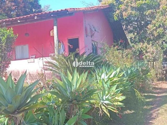 Sítio e chácara venda em Região Geográfica Imediata de Uberlândia, Oliveira Fortes