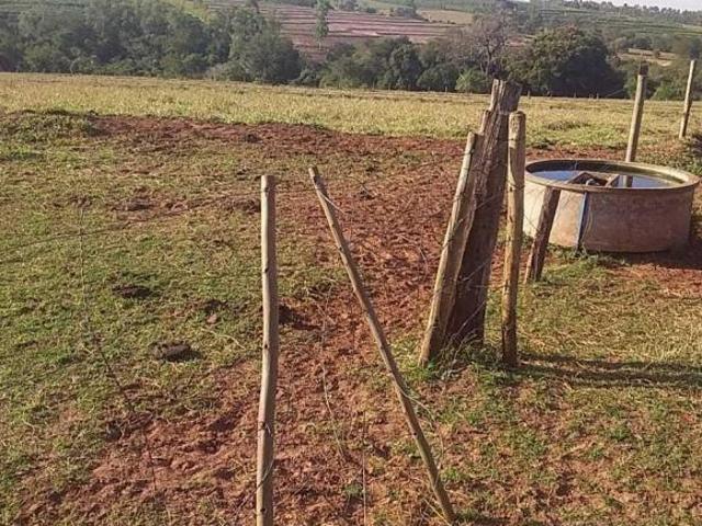 Sítio e chácara venda em Região Geográfica Imediata de Paranavaí, Paranavaí