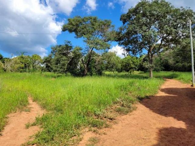 Sítio e chácara venda em Centro, Alfenas