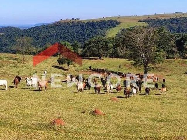 Sítio e chácara venda em Região Imediata de Botucatu, Botucatu