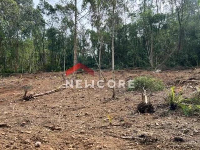 Sítio e chácara venda em Região Geográfica Imediata de Caxias do Sul, Alto Feliz
