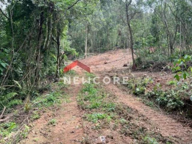 Sítio e chácara venda em Região Geográfica Imediata de Caxias do Sul, Alto Feliz