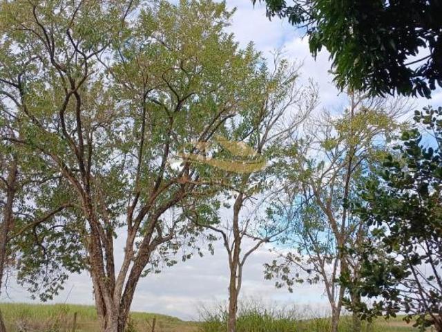 Sítio e chácara venda em Região Imediata de Piracicaba, Região Metropolitana de Piracicaba