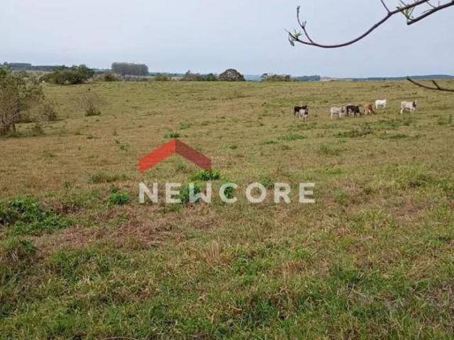 Sítio e chácara venda em Região Imediata de Botucatu, Bofete