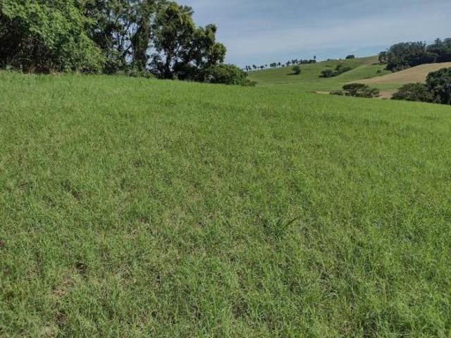 Sítio e chácara venda em Região Imediata de Campinas, Região Metropolitana de Campinas