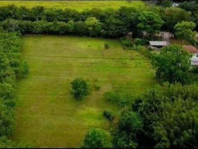 Sítio e chácara venda em Vila Nova, Porto Alegre