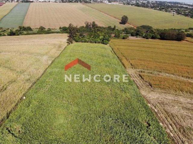 Sítio e chácara venda em Região Geográfica Imediata de Maringá, Maringá