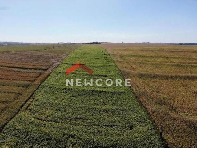 Sítio e chácara venda em Região Geográfica Imediata de Maringá, Maringá