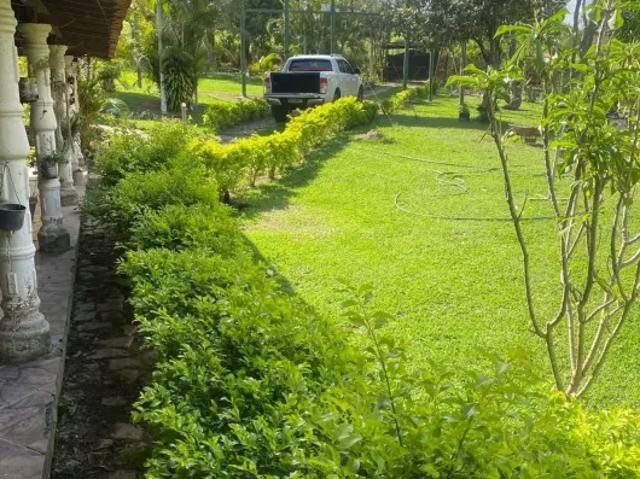 Fazenda venda em Região Geográfica Imediata de Oliveira, Bonfim