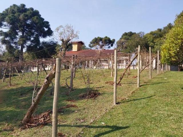 Sítio e chácara venda em Canela