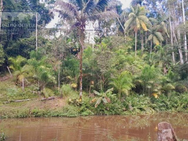 Sítio e chácara venda em Região Imediata de Registro, Juquia