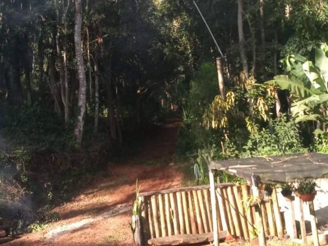 Sítio e chácara venda em Região Geográfica Imediata de Belo Horizonte, Região Metropolitana de Belo Horizonte