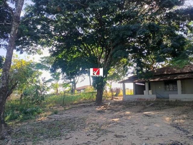 Sítio e chácara venda em Região Imediata de Ribeirão Preto, Região Metropolitana de Ribeirão Preto