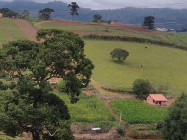 Sítio e chácara venda em Aldeia Kiriri Caldas-Mg, Caldas