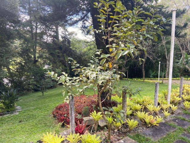 Sítio e chácara venda em Região Geográfica Imediata de Nova Friburgo, Nova Friburgo