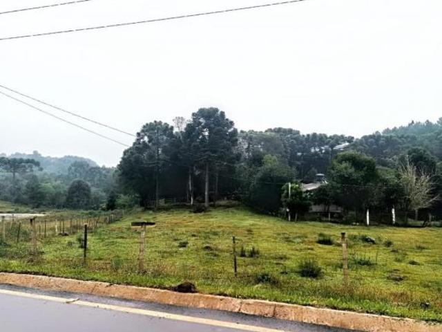 Sítio e chácara venda em Região Geográfica Imediata de Caxias do Sul, Canela