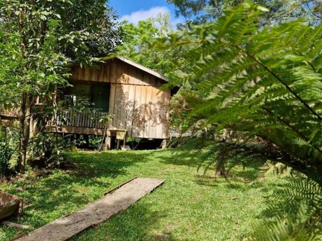 Sítio e chácara venda em Região Geográfica Imediata de Caxias do Sul, Canela