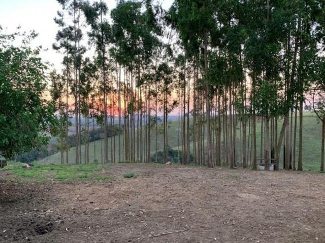Sítio e chácara venda em Região Imediata de Itapeva, Capão Bonito