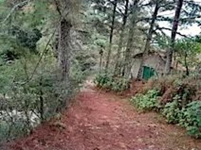 Sítio e chácara venda em Região Geográfica Imediata de Nova Friburgo, Nova Friburgo