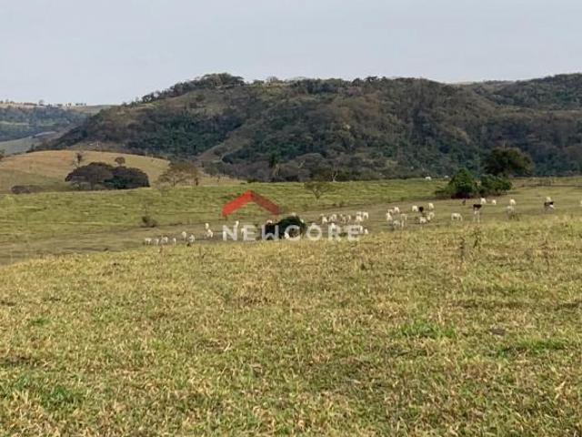 Sítio e chácara venda em Região Imediata de Presidente Prudente, Anhumas