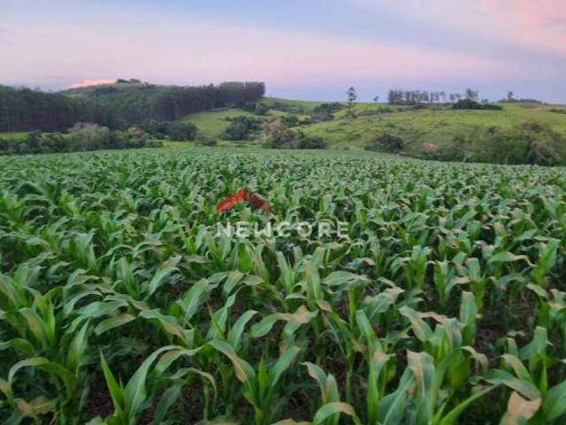 Sítio e chácara venda em Bofete