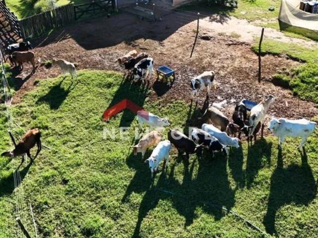Sítio e chácara venda em Região Imediata de Itapetininga, Região Metropolitana de Sorocaba