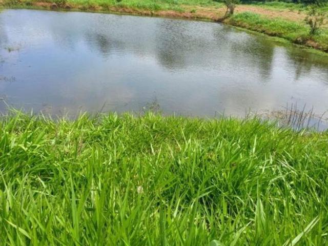 Sítio e chácara venda em Cesário Lange, Região Geográfica Intermediária de Sorocaba