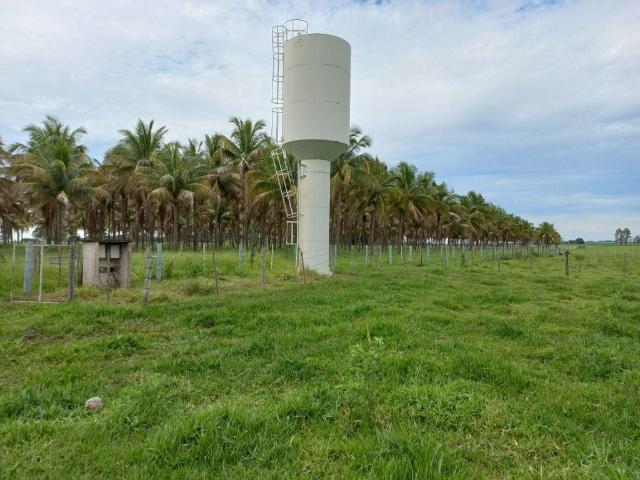 Sítio e chácara venda em Chácaras Califórnia, Araçatuba