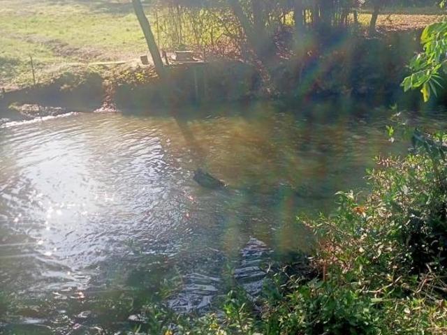 Sítio e chácara venda em Região Imediata de Araras, Região Metropolitana de Piracicaba