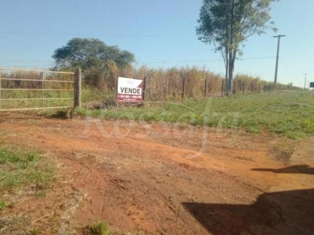 Sítio e chácara venda em Região Imediata de Santa Fé do Sul, Rubineia