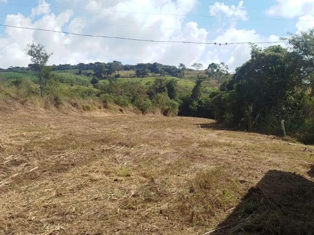 Fazenda venda em Região Geográfica Imediata de Oliveira, Crucilândia