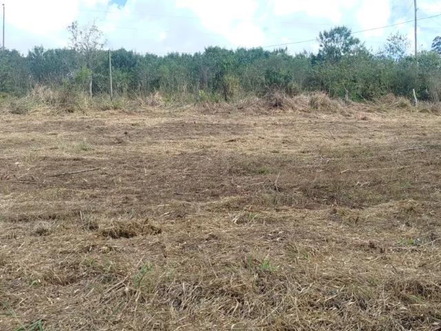 Fazenda venda em Região Geográfica Imediata de Oliveira, Crucilândia