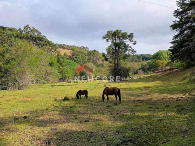 Sítio e chácara venda em Região Imediata de Guaratinguetá, Região Metropolitana do Vale do Paraíba e Litoral Norte