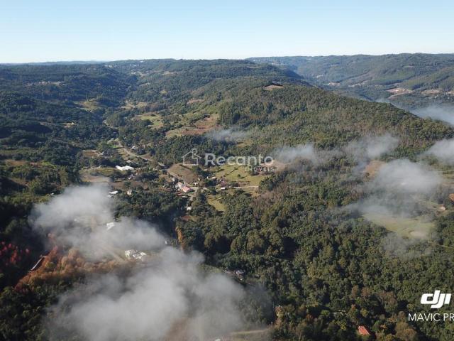 Sítio e chácara venda em Gramado