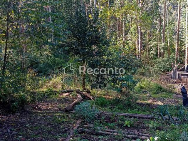 Sítio e chácara venda em Gramado, Região Geográfica Intermediária de Caxias do Sul
