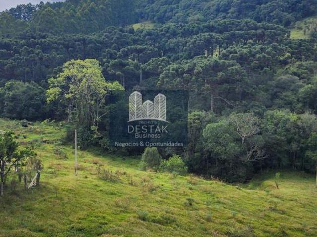 Sítio e chácara venda em Região Geográfica Imediata de Bento Gonçalves, Carlos Barbosa