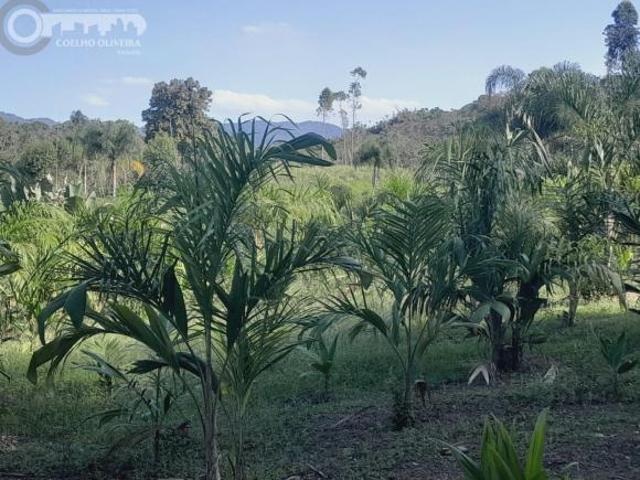 Sítio e chácara venda em Região Imediata de São Paulo, Região Metropolitana de São Paulo