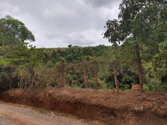 Sítio e chácara venda em Arataba, Louveira